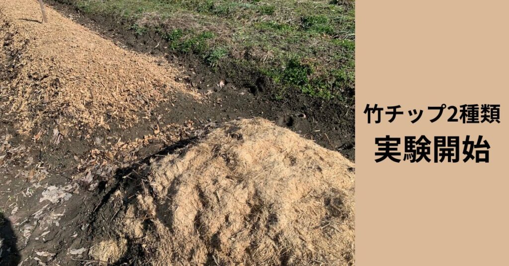 竹とともに歩む、私たちの「菌ちゃん農法」体験記