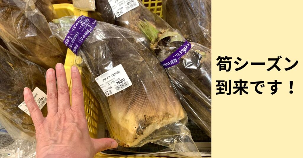 たけのこ掘りイベント始まるよ！